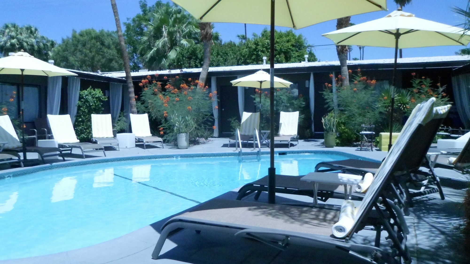 Avanti Hotel Palm Springs Eksteriør billede