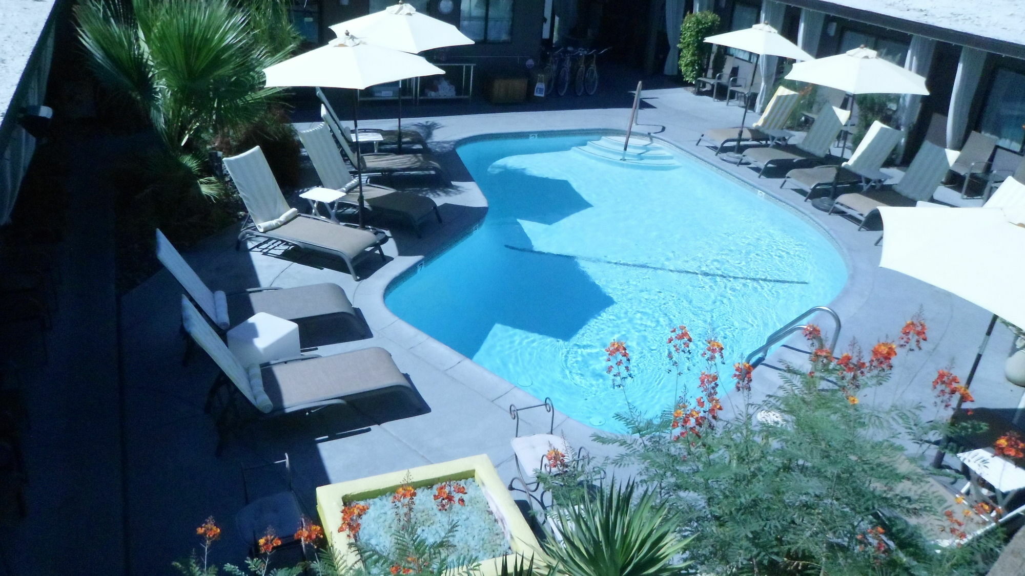 Avanti Hotel Palm Springs Eksteriør billede
