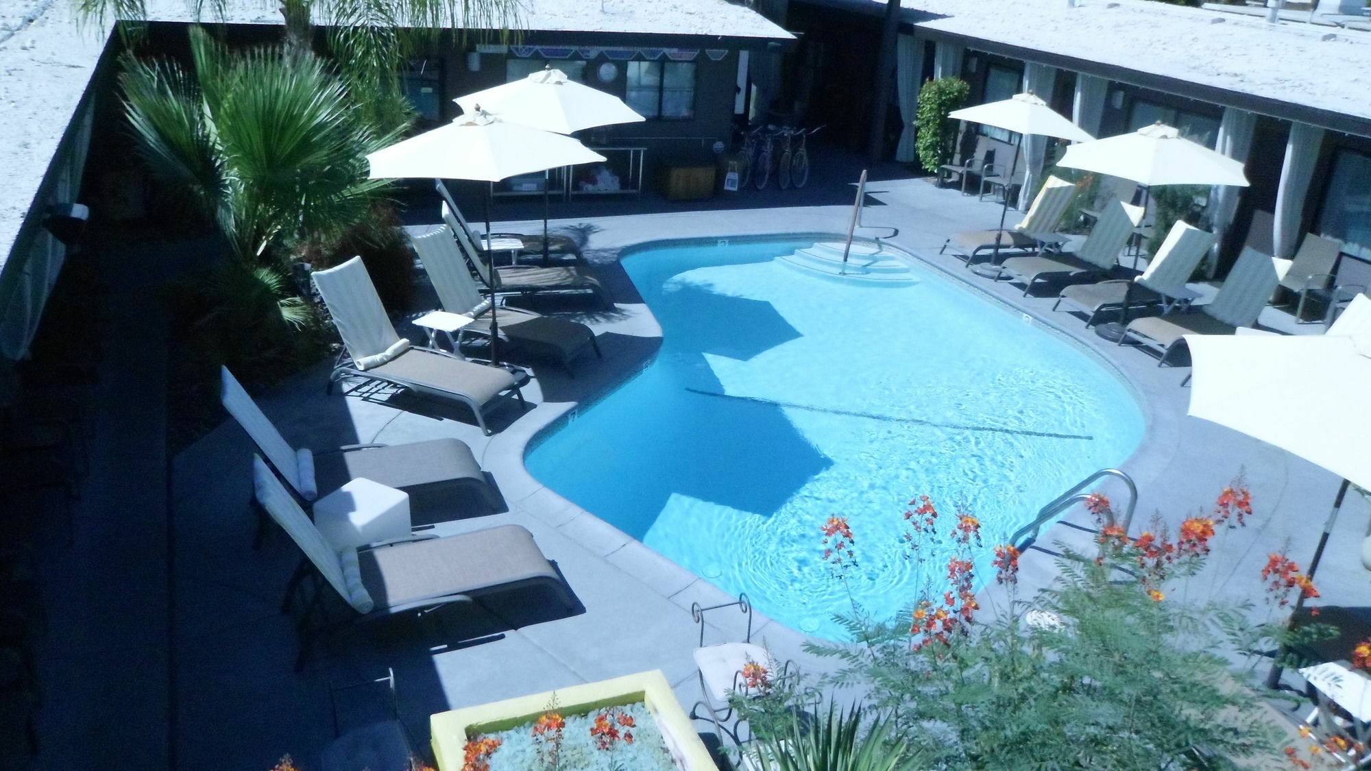 Avanti Hotel Palm Springs Eksteriør billede